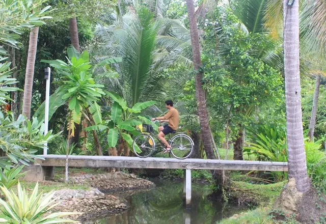 Bike ride way for watching nature and way of life, northern Thailand